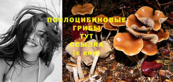 сатива Алексеевка