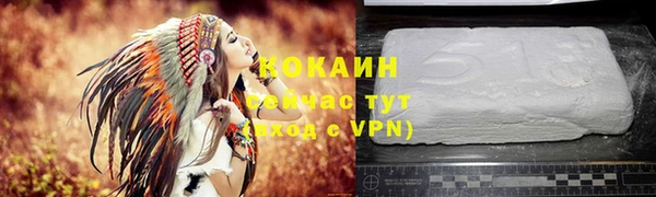 сатива Зеленокумск