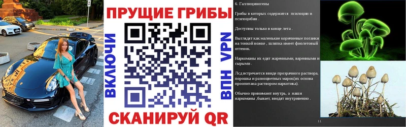 Галлюциногенные грибы мицелий  Аргун 